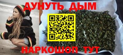 крисы Будённовск