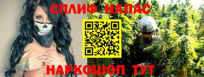 крисы Будённовск