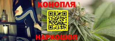 крисы Будённовск